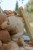 1R0A6647.jpg