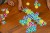 Stello-Adults-2.jpg