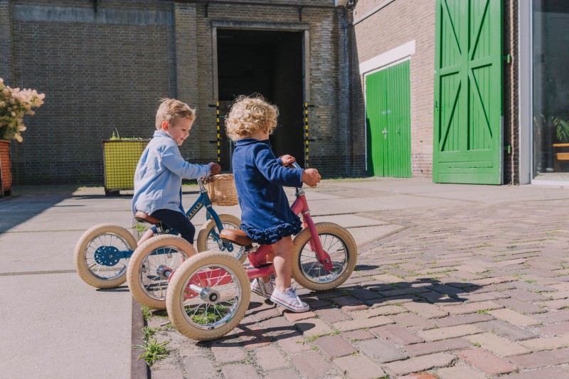 Pierwszy rowerek trójkołowy dziecięcy biegowy 2w1 różowy matowy Trybike