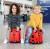 jezdzaca-walizeczka-trunki-harley-biedronka_7821_8.jpg