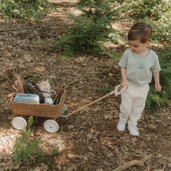 Zestaw 2 walizeczek Forest Friends FSC Little Dutch