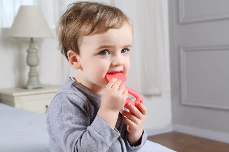 8059 Squirrel teether toy Rose 1.jpg
