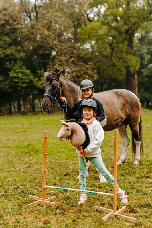 Koń Hobby Horse A3 Szary-Siwy Mom's Care