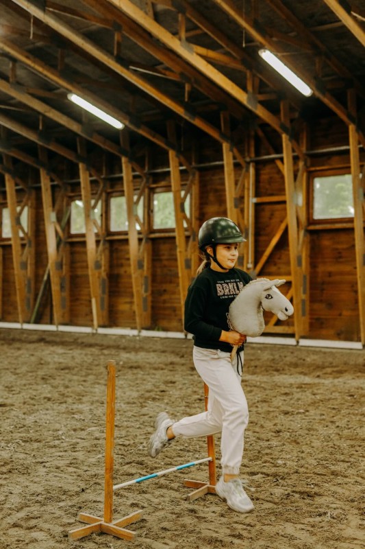 Koń Hobby Horse A3 Rudy Kasztanowy Mom's Care