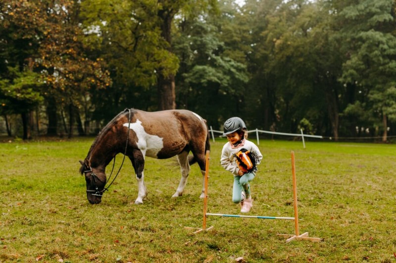 Koń Hobby Horse A4 Szary-Siwy Mom's Care