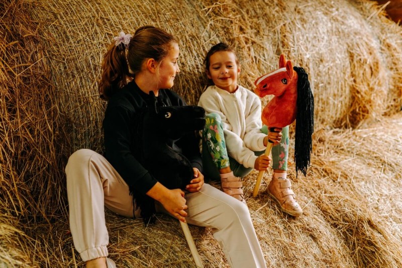 Koń Hobby Horse A4 Kremowy Cremello Mom's Care