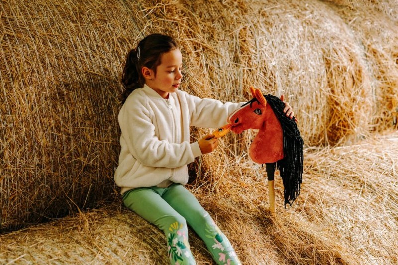 Koń Hobby Horse A4 Czarny Kary Mom's Care