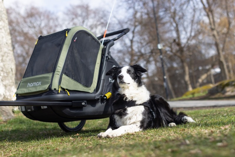 Przyczepka rowerowa dla psa - Pluto M do 35 kg - Green / Black Hamax