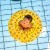 The Swim Essentials Kółko treningowe dla dzieci Circus 2020SE30