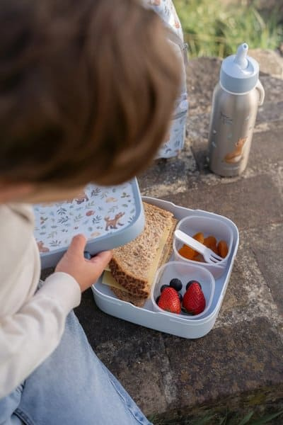 Lunchbox bento duży Forest Friends Mepal & Little Dutch