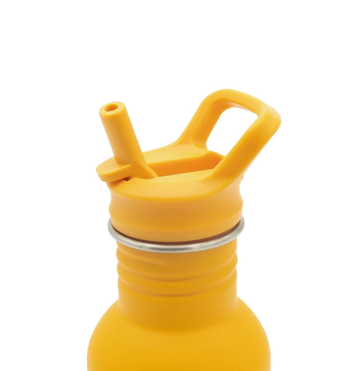 Butelka na wodę 500 ml Lew SASSI