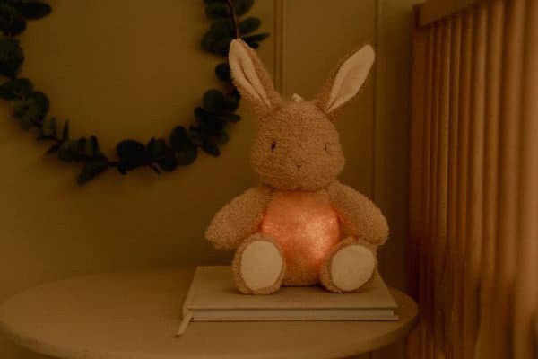 Królik interaktywny Newborn Naturals Little Dutch