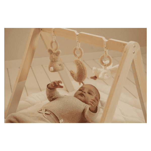 Pałąk interaktywny Newborn Naturals Little Dutch