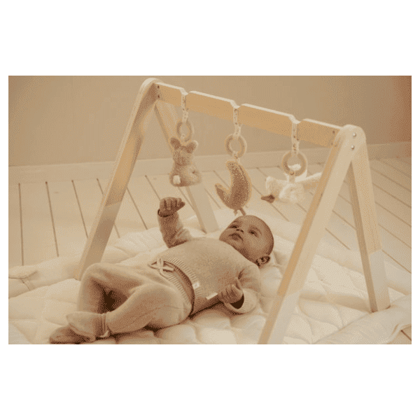 Pałąk interaktywny Newborn Naturals Little Dutch