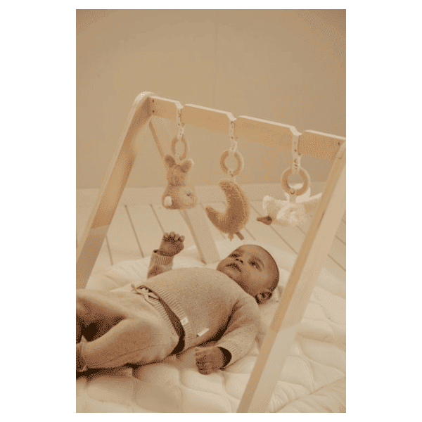 Pałąk interaktywny Newborn Naturals Little Dutch