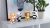 Tanczacy-glosnik-Panda_5B95485D_1200.webp