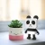 Tanczacy-glosnik-Panda_5B95455D_1200.webp