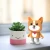 Tanczacy-glosnik-Piesek-Corgi_5B95885D_1200-3.webp