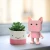 Tanczacy-glosnik-Swinka_5B96185D_1200.webp