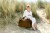 Torba Mommy Bag Signature Prestige Hazelnut Childhome