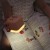 przenosna-lampka-nocna-cube-b-swiecaca-kostka-sarenka-finley_25653_5.jpg