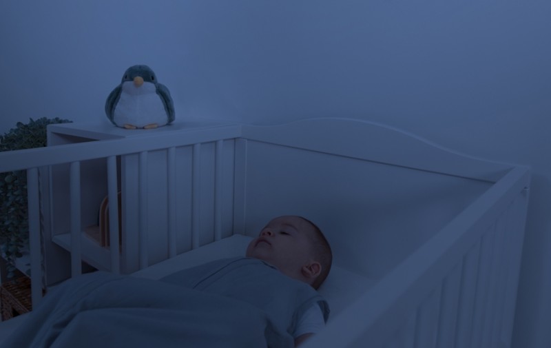 Projektor Zachodzącego Słońca Ptaszek SHALLY Zazu