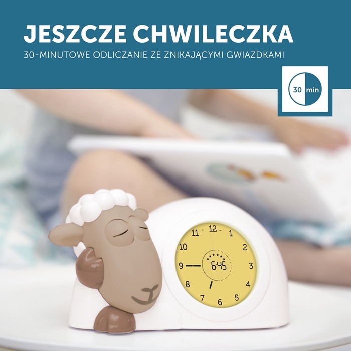 Trener Snu Owca Brown SAM Zazu