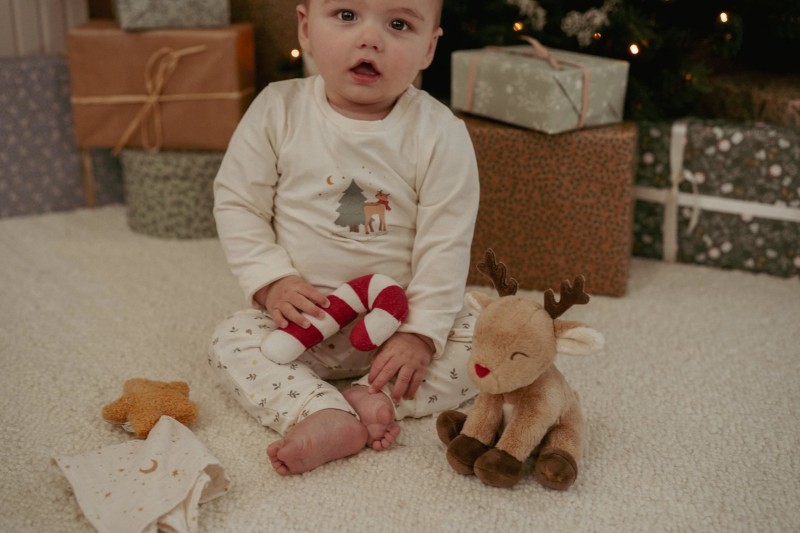 Zestaw prezentowy X-MAS Little Dutch