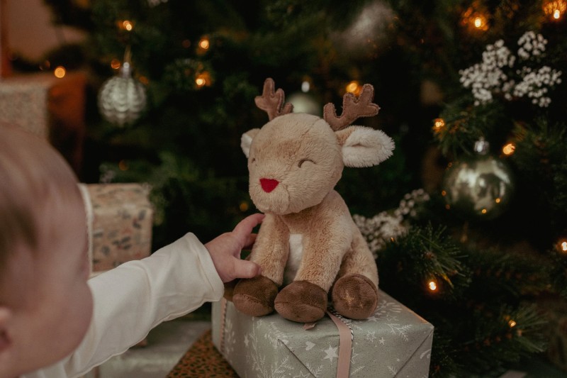 Zestaw prezentowy X-MAS Little Dutch