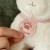 Kot Marley w torbie Little Dutch