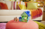 25Dog_House_LSP.png
