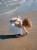 Plecak dziecięcy My First bag Nude Childhome