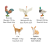 015aed1de722ae1fec5074b0962bfad70346f483.png