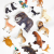 bf21a97167548488ef7454cfb2fb78be1376abbe.png