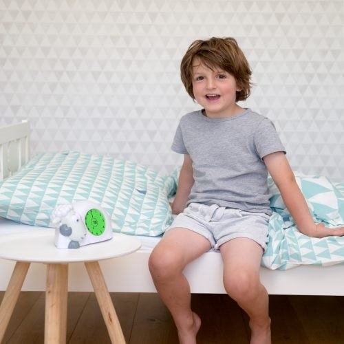 Trener Snu Owca Grey SAM Zazu