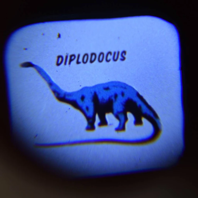 prehistoric-land-projector-torch-28517-lifestyle-2.jpg