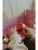 projektor-opowiesci-kidyslide-circus-kidywolf (3).webp