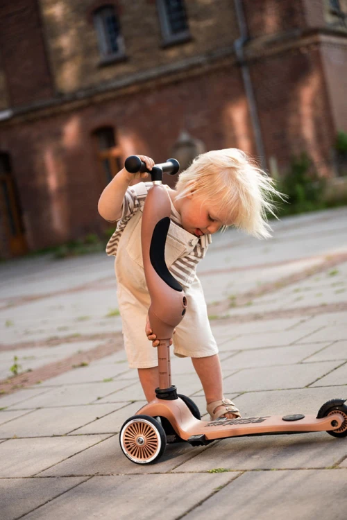 pol_pl_SCOOTANDRIDE-Highwaykick-1-Push-and-Go-2w1-Jezdzik-i-hulajnoga-z-raczka-do-prowadzenia-1-5-lat-Mocha-13656_26.jpg