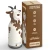 SBV44GOAT.webp