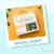pol_pl_Glo-Pals-SAFARI-CASE-Fun-Fillers-Wklad-figurki-brokaty-do-sloikow-zabaw-sensorycznych-419_4.jpg