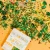 pol_pl_Glo-Pals-SAFARI-CASE-Fun-Fillers-Wklad-figurki-brokaty-do-sloikow-zabaw-sensorycznych-419_1.webp