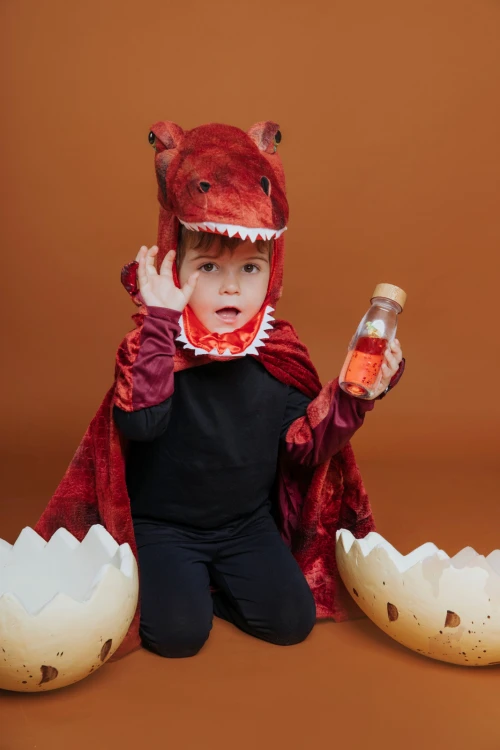 pol_pl_Petit-Boum-Butelka-sensoryczna-dwufazowa-MOVE-T-Rex-337_2.jpg