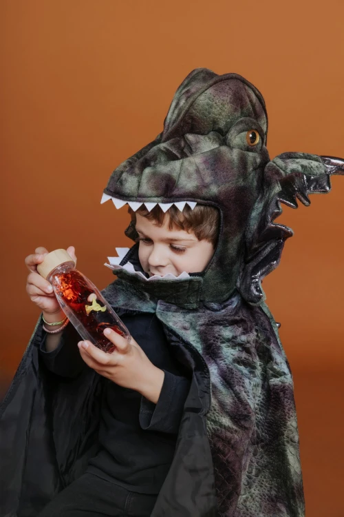 pol_pl_Petit-Boum-Butelka-sensoryczna-dwufazowa-MOVE-T-Rex-337_3.jpg