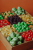 pol_pl_Petit-Boum-Butelka-obserwacyjna-OWOCE-81_9.png