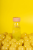 pol_pl_Petit-Boum-Butelka-obserwacyjna-RYBKA-Pufferfish-57_5.png