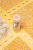 pol_pl_Petit-Boum-Butelka-obserwacyjna-FARMA-43_3.png
