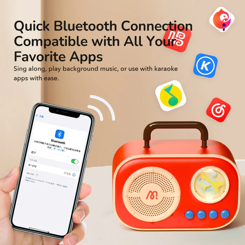 Podwójny zestaw karaoke mideer