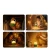 MD2310_203.webp