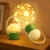 MD2310.webp